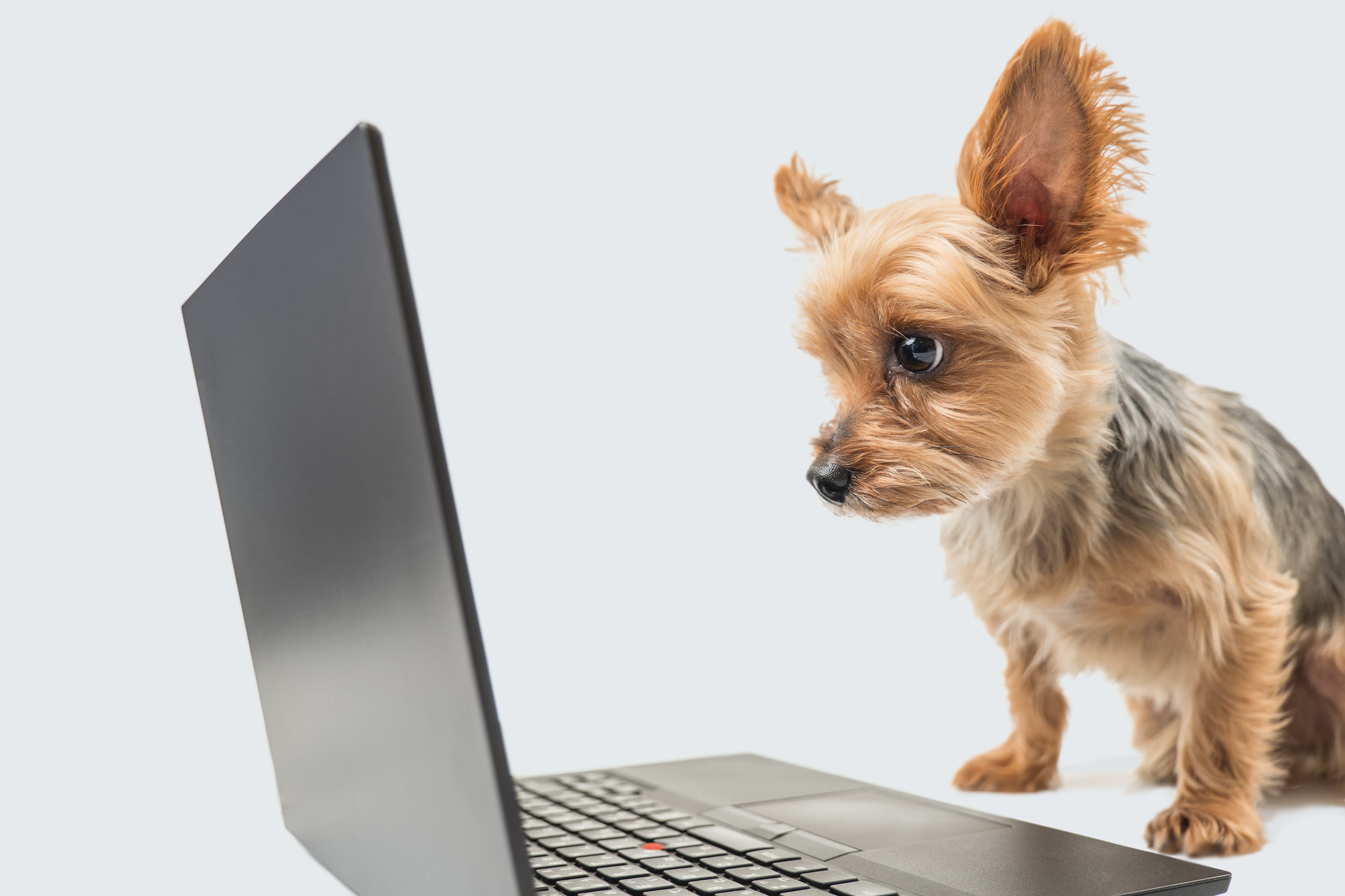 “I’m Not Techy.” Good — You Don’t Need to Be.